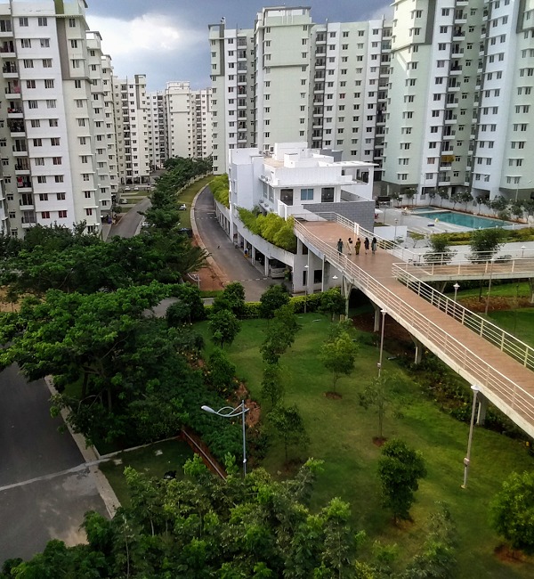 Sky Walk Garden view